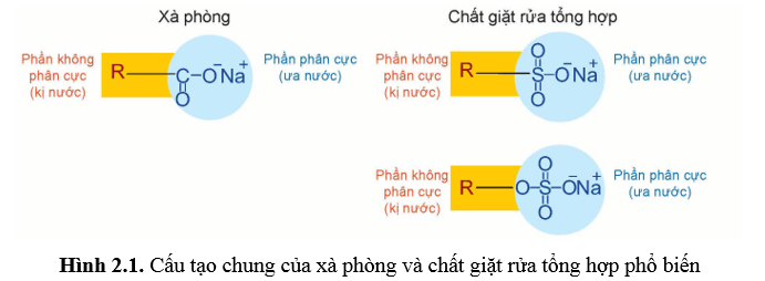 Lý thuyết Hóa học 12 Bài 2: Xà phòng và chất giặt rửa | Kết nối tri thức