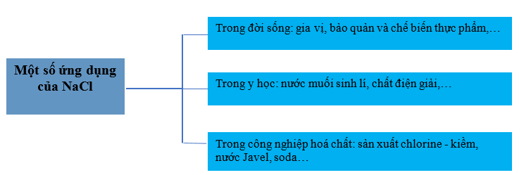 Lý thuyết Hóa học 12 Bài 24: Nguyên tố nhóm IA | Kết nối tri thức