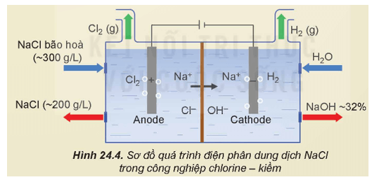 Lý thuyết Hóa học 12 Bài 24: Nguyên tố nhóm IA | Kết nối tri thức