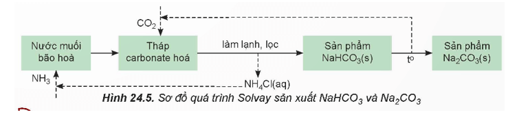 Lý thuyết Hóa học 12 Bài 24: Nguyên tố nhóm IA | Kết nối tri thức