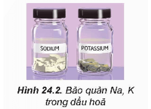 Lý thuyết Hóa học 12 Bài 24: Nguyên tố nhóm IA | Kết nối tri thức