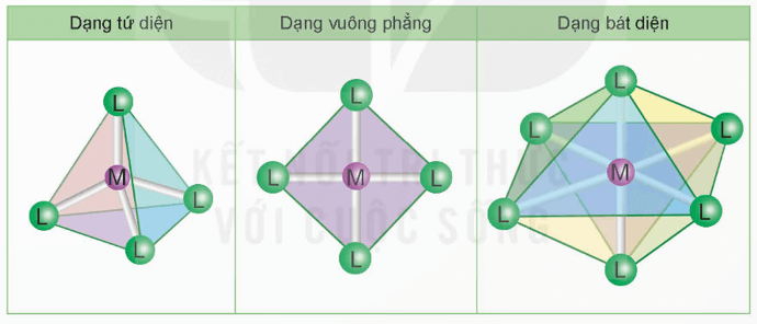 Lý thuyết Hóa học 12 Bài 28: Sơ lược về phức chất | Kết nối tri thức