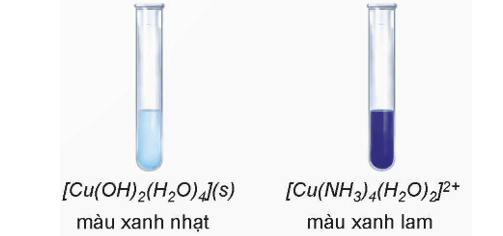 Lý thuyết Hóa học 12 Bài 29: Một số tính chất và ứng dụng của phức chất | Kết nối tri thức