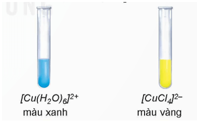 Lý thuyết Hóa học 12 Bài 29: Một số tính chất và ứng dụng của phức chất | Kết nối tri thức