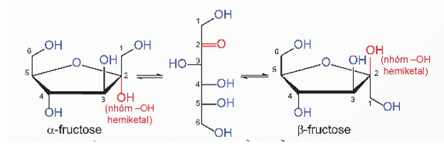 Lý thuyết Hóa học 12 Bài 4: Giới thiệu về carbohydrate. Glucose và fructose | Kết nối tri thức