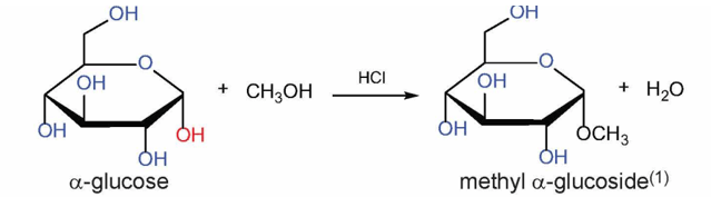 Lý thuyết Hóa học 12 Bài 4: Giới thiệu về carbohydrate. Glucose và fructose | Kết nối tri thức