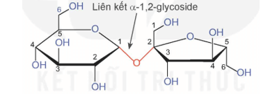 Lý thuyết Hóa học 12 Bài 7: Ôn tập chương 2 | Kết nối tri thức