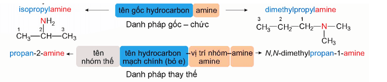 Lý thuyết Hóa học 12 Bài 8: Amine | Kết nối tri thức