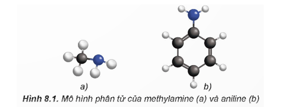 Lý thuyết Hóa học 12 Bài 8: Amine | Kết nối tri thức