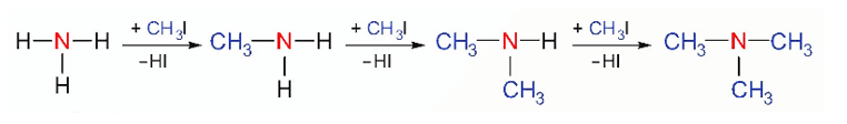 Lý thuyết Hóa học 12 Bài 8: Amine | Kết nối tri thức