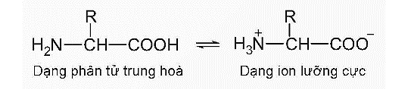 Lý thuyết Hóa học 12 Bài 9: Amino acid và peptide | Kết nối tri thức