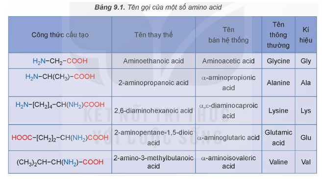 Lý thuyết Hóa học 12 Bài 9: Amino acid và peptide | Kết nối tri thức