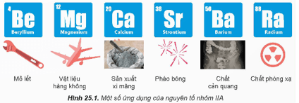 Trong nhóm IIA, magnesium và calcium là hai nguyên tố phổ biến nhất, đồng thời có vai trò quan trọng