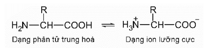 Khoảng 20 amino acid thiên nhiên là cơ sở để kiến tạo nên protein của cơ thể sống