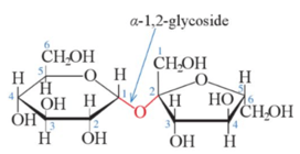 Trắc nghiệm Hóa học 12 Bài 5: Saccharose và maltose | Kết nối tri thức