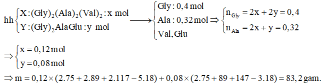 Trắc nghiệm Hóa học 12 Kết nối tri thức Bài 8: Amine