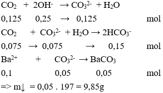 25 Bài tập về CO2 cực hay, có lời giải chi tiết