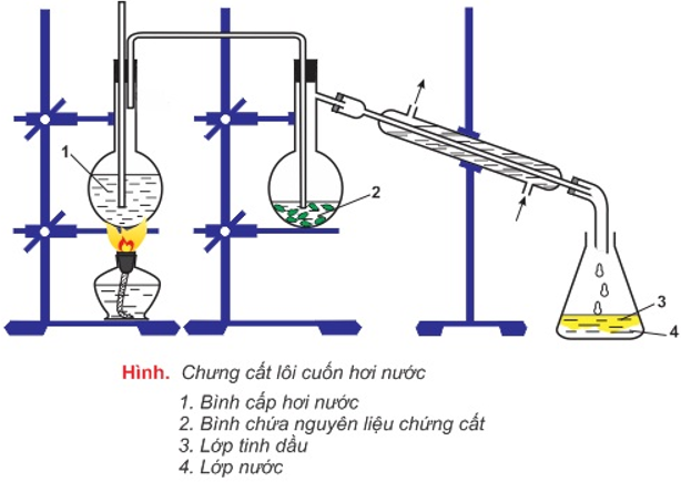 Hóa học lớp 11 | Lý thuyết và Bài tập Hóa học 11 có đáp án