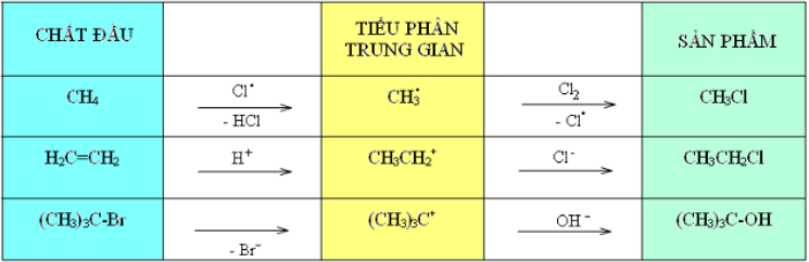 Hóa học lớp 11 | Lý thuyết và Bài tập Hóa học 11 có đáp án