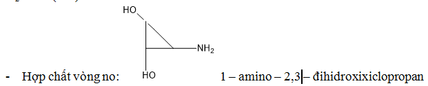Cách viết đồng phân Amin, Amino Axit hay, chi tiết | Lý thuyết và Bài tập Hóa học 12 có đáp án