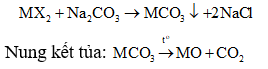Phương pháp sử dụng phương trình ion thu gọn trong hóa học cực hay, có lời giải
