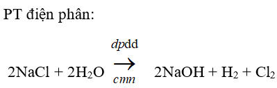 Trắc nghiệm Hóa học 9 Bài 10 (có đáp án): Một số muối quan trọng (phần 2)