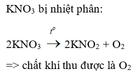 Trắc nghiệm Hóa học 9 Bài 10 (có đáp án): Một số muối quan trọng (phần 2)