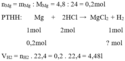 Trắc nghiệm Hóa học 9 Bài 4 (có đáp án): Một số axit quan trọng (phần 2)