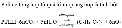 Trắc nghiệm Hóa 9 Trắc nghiệm Hóa học 9 Bài 54 (có đáp án): Polime (phần 2)