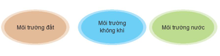 Khảo sát, đánh giá thực trạng môi trường tự nhiên ở địa phương