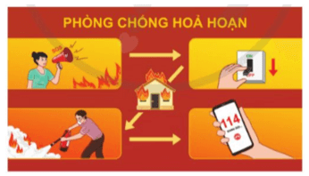 Hoạt động trải nghiệm lớp 5 Tuần 11 (trang 34, 35, 36) | Cánh diều