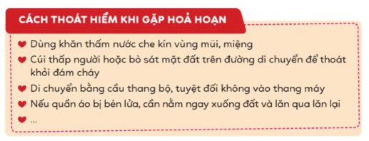 Hoạt động trải nghiệm lớp 5 Tuần 12 (trang 37, 38, 39) | Cánh diều