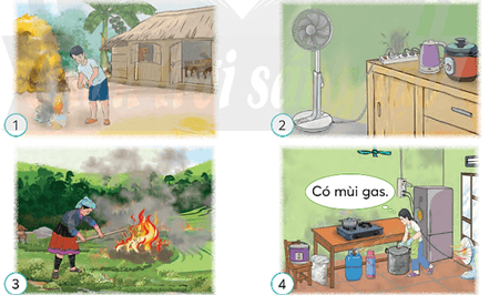 Hoạt động trải nghiệm lớp 5 Tuần 21 (bản 2) | Chân trời sáng tạo