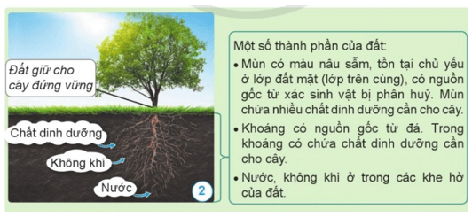 Khoa học lớp 5 Bài 1: Đất và bảo vệ môi trường đất - Cánh diều