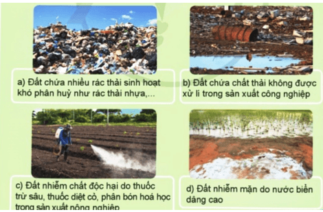 Khoa học lớp 5 Bài 1: Đất và bảo vệ môi trường đất - Cánh diều