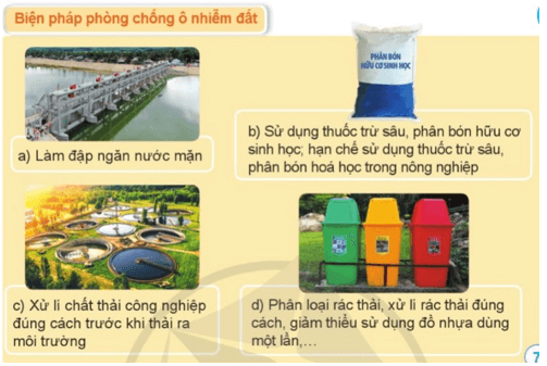 Khoa học lớp 5 Bài 1: Đất và bảo vệ môi trường đất - Cánh diều