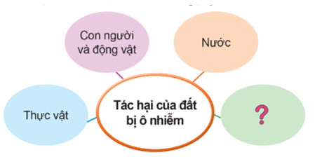 Khoa học lớp 5 Bài 1: Đất và bảo vệ môi trường đất - Cánh diều