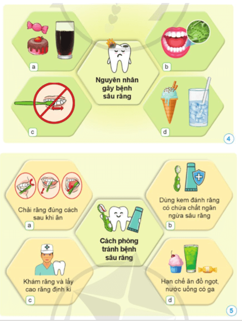 Khoa học lớp 5 Bài 12: Vi khuẩn và vi khuẩn gây bệnh ở người - Cánh diều