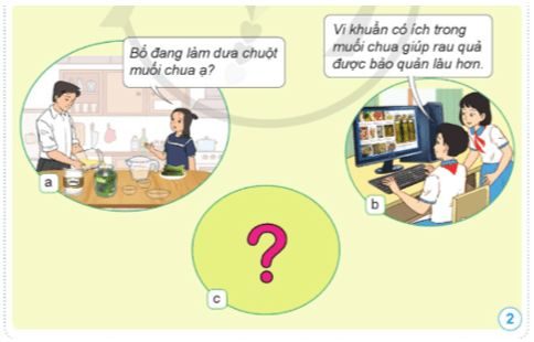 Khoa học lớp 5 Bài 13: Vi khuẩn có ích trong chế biến thực phẩm - Cánh diều