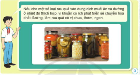 Khoa học lớp 5 Bài 13: Vi khuẩn có ích trong chế biến thực phẩm - Cánh diều