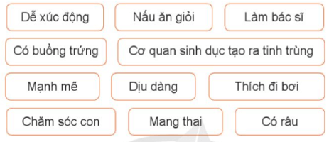 Khoa học lớp 5 Bài 14: Nam và nữ - Cánh diều