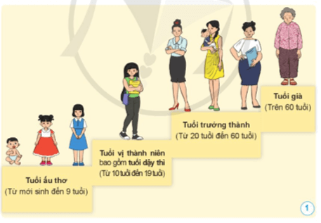 Khoa học lớp 5 Bài 16: Quá trình phát triển của con người - Cánh diều