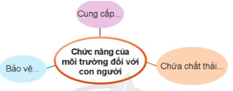 Khoa học lớp 5 Bài 19: Chức năng của môi trường đối với sinh vật - Cánh diều