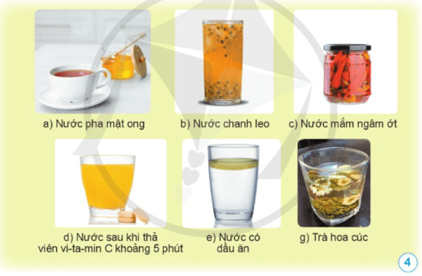 Khoa học lớp 5 trang 14 Cánh diều