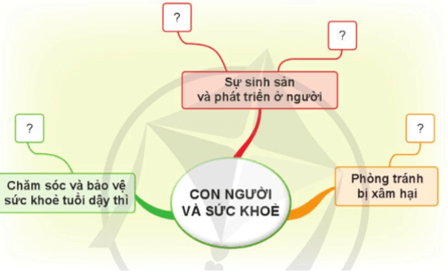 Khoa học lớp 5 Ôn tập chủ đề Con người và sức khỏe - Cánh diều