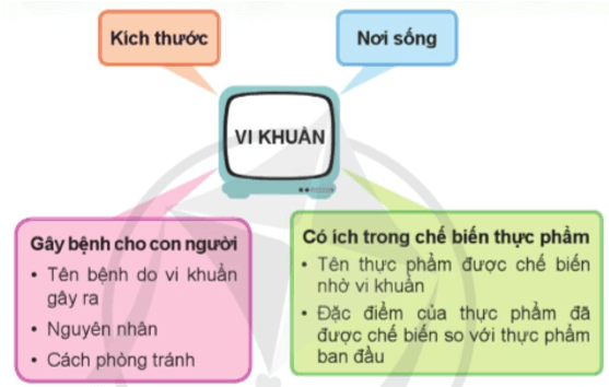 Khoa học lớp 5 Ôn tập chủ đề Vi khuẩn - Cánh diều