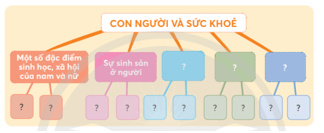 Khoa học lớp 5 Chân trời sáng tạo Bài 27: Ôn tập chủ đề Con người và sức khỏe