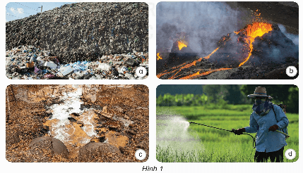 Khoa học lớp 5 Bài 2: Ô nhiễm, xói mòn đất và bảo vệ môi trường đất - Kết nối tri thức