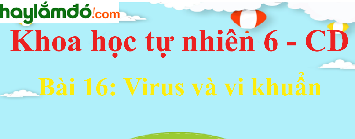 Khoa học tự nhiên lớp 6 Bài 16: Virus và vi khuẩn - Cánh diều