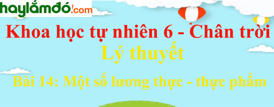 Lý thuyết Khoa học tự nhiên 6 Bài 14: Một số lương thực - thực phẩm | Chân trời sáng tạo